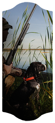 Gone Hunting (Duck with Dog)